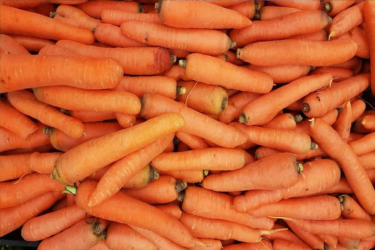 Imagem de cenoura