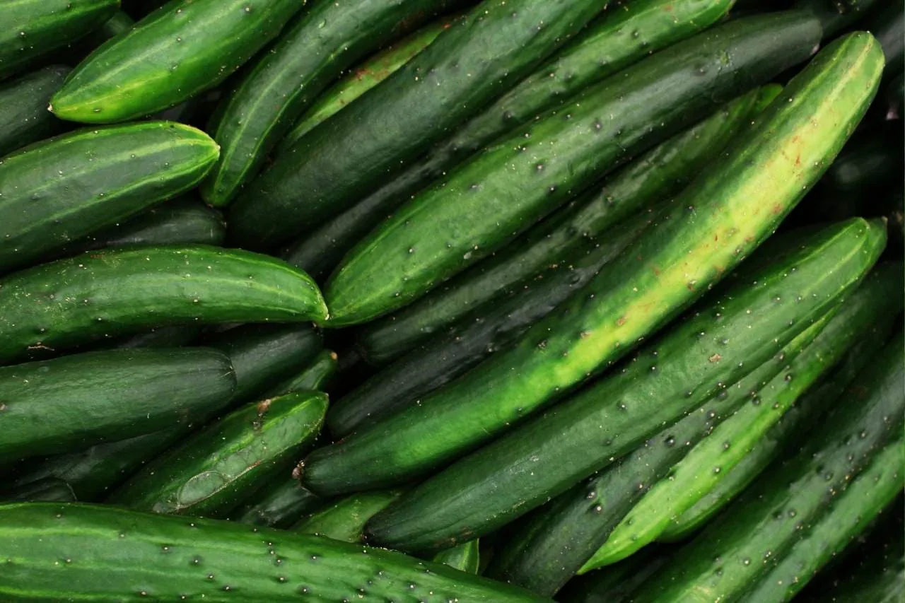 Imagem de pepino