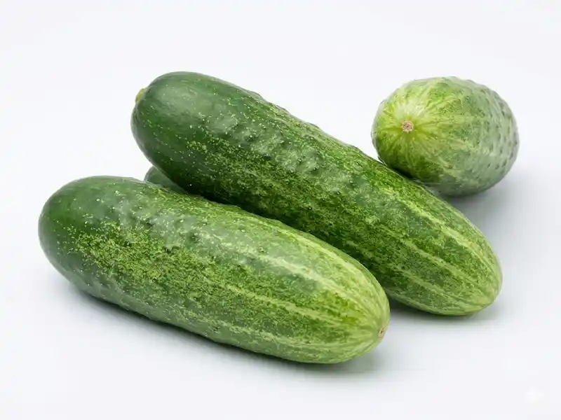 Pepino Caipira