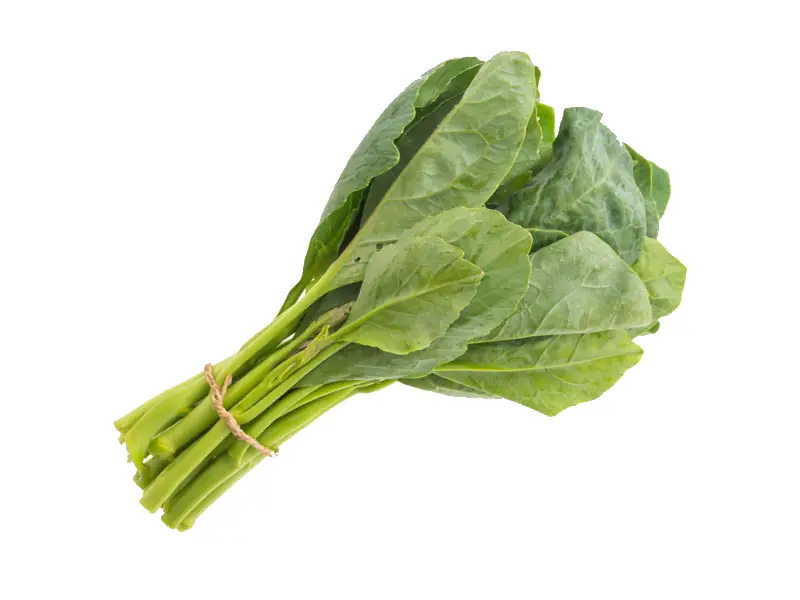 Cultivo de Couve