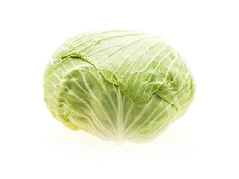 Cultivo de Repolho