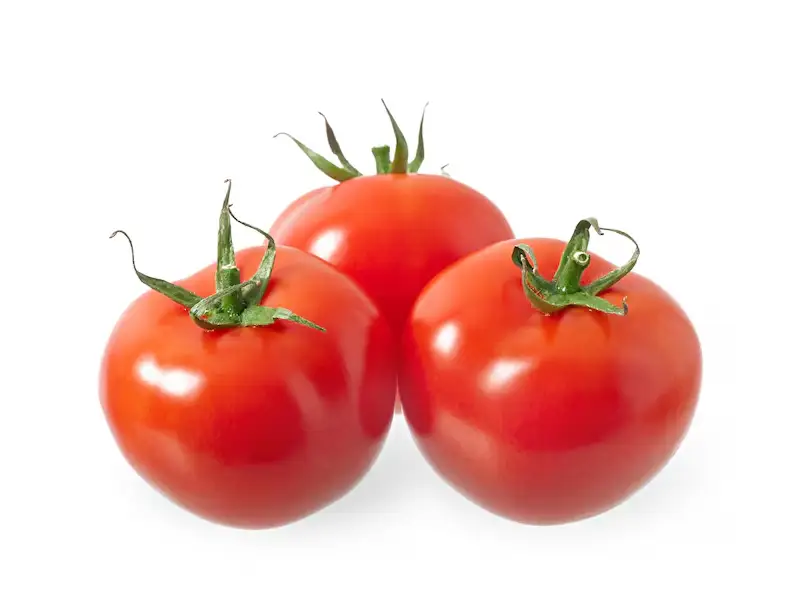 Cultivo de Tomate